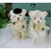 Свадебные мишки (украшение на машину, свадебные подарки) 